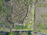 4 acres County Road 346 - Photo 1