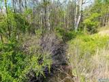 4 acres County Road 346 - Photo 2