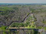 4 acres County Road 346 - Photo 3