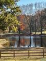 436 Mount Zion Road - Photo 44