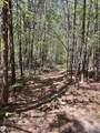 LOT 1 Pruitt Road - Photo 15