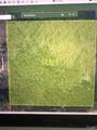 LOT 1 Pruitt Road - Photo 3