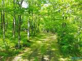 3599 Highway 117 - Photo 21