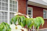 126 Amber Way - Photo 40