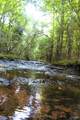 3940 County Road 95 - Photo 40