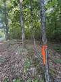 475 Summer House Mountain Road - Photo 10
