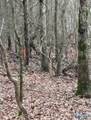 475 Summer House Mountain Road - Photo 13