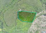 475 Summer House Mountain Road - Photo 15