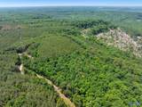 475 Summer House Mountain Road - Photo 19