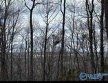 475 Summer House Mountain Road - Photo 9