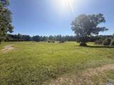 757 Mockingbird Road - Photo 10