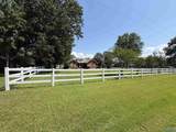 4636 Spruce Street - Photo 6