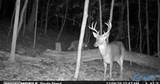 1836 Low Gap Road - Photo 44