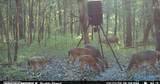 1836 Low Gap Road - Photo 45