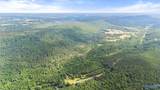 85 County Road 451 - Photo 11