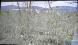 75 Vista Trail - Photo 4