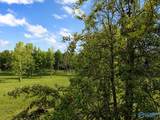 58 Acres Naples Lane - Photo 20