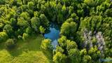 58 Acres Naples Lane - Photo 21