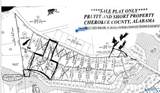 24 County Road 1011 - Photo 2