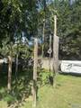 915 Highland Drive - Photo 32