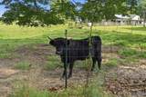 1691 County Road 372 - Photo 49