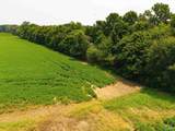 20 acres Alabama Highway 251 - Photo 19
