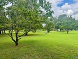 255 Jones Road - Photo 10