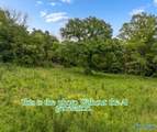 9 Acres County Road 171 - Photo 2