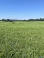 Lot 1A-6.9 Acre Latham - Photo 4