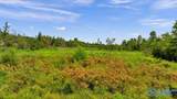 569 Bob Haas Road - Photo 7
