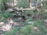 1664 County Road 119 - Photo 14