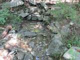 1664 County Road 119 - Photo 15