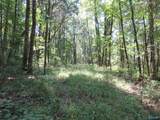 1664 County Road 119 - Photo 16