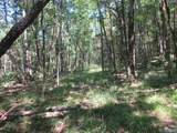 1664 County Road 119 - Photo 17