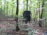 1664 County Road 119 - Photo 7
