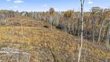 193AC County Road 1069 - Photo 12