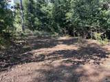 35 ACRES Pine Ridge Road - Photo 1