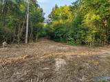 21.25 ACRES Hopewell Road - Photo 10