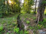21.25 ACRES Hopewell Road - Photo 9