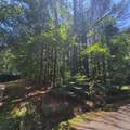 LOT 129 Evergreen Way - Photo 4