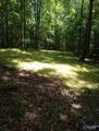 15 acres Fish Trap Road - Photo 7