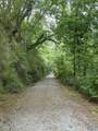 1126 High Street - Photo 50