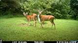 2130 County Road 119 - Photo 46