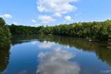 100 acres Wade Point Road - Photo 13