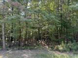 100 acres Wade Point Road - Photo 7
