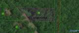 1.17 acres South Shawdee Road - Photo 4