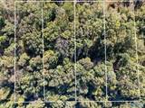 Lot 2 County Road 224 - Photo 5