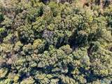 Lot 4 County Road 224 - Photo 5