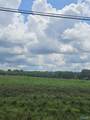 118 Treva Lane - Photo 4
