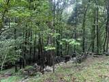 1727 Chestnut Mountain Road - Photo 29